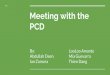 PCD Meeting Presentation