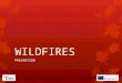 Primary - Wildfires - Prevention