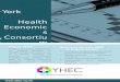 NHS consultancy and outcomes research from YHEC