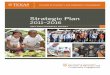 2015.2016 DDCE Strategic Plan Progress Report