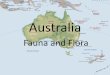 FLORA AND FAUNA IN Australia