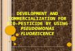 Development and commercialization for bio pesticide by using pseudomonas