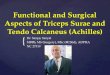 Functional Surgical Aspects -Triceps Surae-Tendo Calcaneus - Sanjoy Sanyal