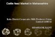 Cattle feed market study of maharashtra