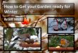 How To Get Your Garden Ready For Winter