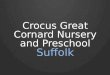 Crocus Great Cornard Day Care Nursery, Suffolk