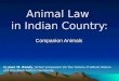 Animal law in indian country companion animals_02-12-10