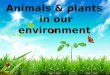Ppt on animals and plants