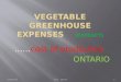 Vegetable greenhouse expenses