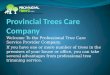Provincial trees care company