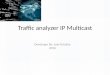 Traffic analyzer Ip multicast