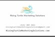 Rising Turtle Marketing Solutions Web Design PowerPoint