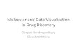 Molecular and data visualization in drug discovery