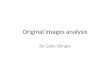Original images analysis