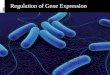 Regulation and gene expression