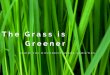 Caliper Farms Nursery Presents: Grass, an Introduction