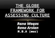 The globe framework for assessing culture