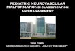 Paediatric Neurovascular Malformations