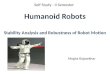 Humanoid robots - stability analysis and robustness