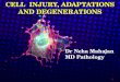 Cell injury and degenerations
