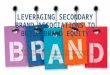 Leveraging secondary brand associations to build brand equity
