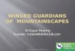 Winged guardians of mountainscapes