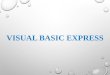Visual basics Express Project