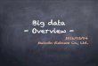 Big data (overview)  - (MOSG)