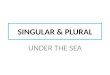 Project 1.2 Singular and plural. Under the Sea