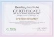 Brendon Brighton Certificate Bentley Institute 2015