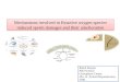 Mechanisms involved in Reactive oxygen species induced sperm damages and their amelioration