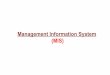 Management information system Unit 1