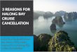 3 reasons for halong bay cruise cancellation
