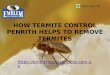 How Termite Control Penrith Helps To Remove Termites