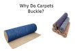 Why do Carpets Buckle