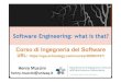 Software Engineering: What is That?