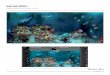 Grays reef exhibit pdf for testing on slideshare