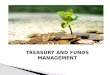 Investment Portfolio (Treasury and Funds Management)