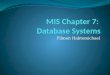 Mis chapter 7 database systems