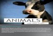 ARA Membership Flyer - by Animal Rights Advocates