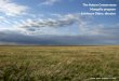 The Nature Conservancy Mongolia program