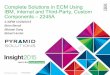 Complete Solutions in ECM using IBM, Internal and Third Party, Custom Components