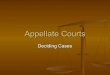 Appellate courts   deciding cases