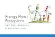 Unit 5, Lesson 4- Energy Flow in Ecosystem