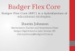 Badger Flex Core Presentation