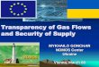 The transparency of Gas Flows and Security of Supply
