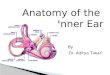 Anatomy of inner ear by Dr. Aditya Tiwari