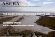 2010 04 The Severn Estuary European Marine Site – Christine Marsh