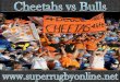 Super Rugby - Live Cheetahs vs Bulls