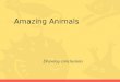 Amazing animals comprehension questions